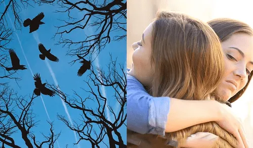 El significado de Cría cuervos y te sacarán los ojos elpopular.pe