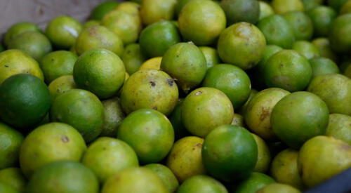 Limones están carísimos. elpopular.pe