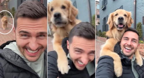 El perrito se hizo tendencia en TikTok tras posar junto a su dueño para una selfie que conmovió a miles. elpopular.pe