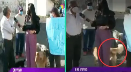 elpopular.pe
