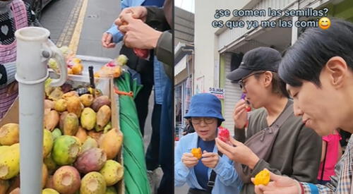 Coreanos comiendo tuna generaron diversas reacciones en los usuarios de redes sociales. elpopular.pe