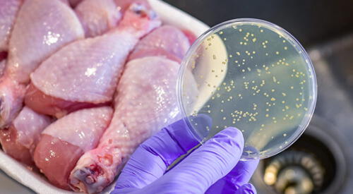 Descubre si debería o no lavar el pollo crudo, expertos te recomiendan esto. elpopular.pe