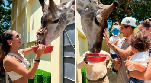 Paolo Guerrero y Ana Paula Consorte en POLÉMICA por TRATO ESPECIAL en el Parque de las Leyendas elpopular.pe