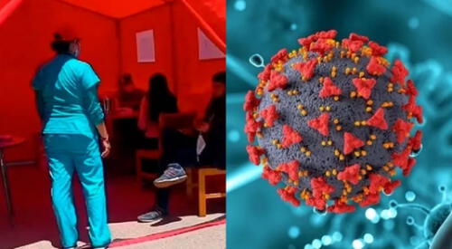 A través de un comunicado oficial de la Diresa, se confirmó nuevos pacientes con tos ferina en diversas regiones del país. elpopular.pe