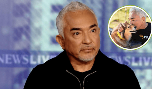 La polémica detrás de César Millán: ¿Arrestado o víctima de un malentendido? elpopular.pe