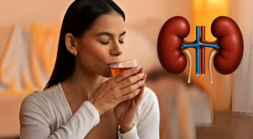 Descubre 4 bebidas naturales que puedes preparar en casa para cuidar tus riñones. elpopular.pe