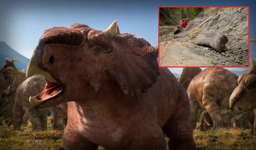 Aún hay un kilómetro entero lleno de huesos por investigar. elpopular.pe