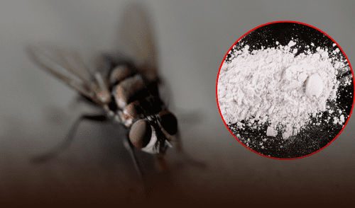 Una solución eficiente contra la adicción. elpopular.pe