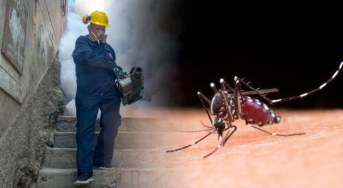Papá fumigador imparable: a sus 71 años sigue en la lucha contra el dengue elpopular.pe