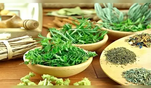 ¿Sabías que muchas hierbas aromáticas son también medicinales? Aquí tienes 5 opciones con usos y beneficios. elpopular.pe