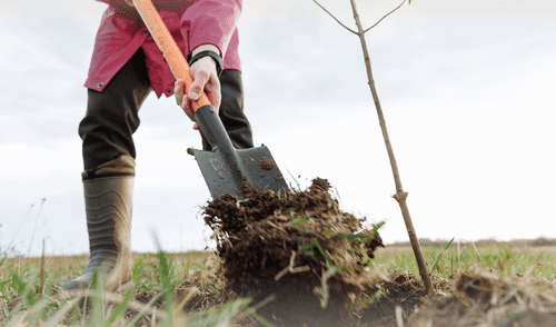 La mujer que encontró un yacimiento de oro en su granja, pero le fue arrebatado por el gobierno. elpopular.pe