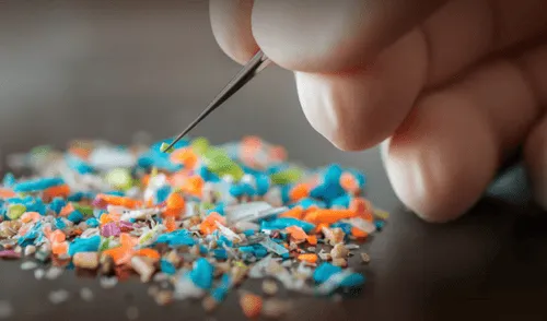 Los microplásticos ya están presentes en el semen y el líquido folicular, según científicos. elpopular.pe