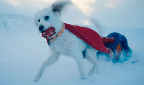 Krypto hará su primera aparición en películas live action de Superman. Foto: DC Studios elpopular.pe