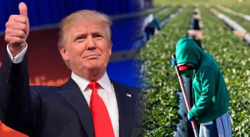 Donald Trump eliminará estos beneficios para indocumentados. elpopular.pe
