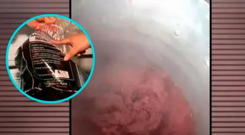 Sangrecita descompuesta: especialistas y ollas comunes denuncian irregularidades graves elpopular.pe