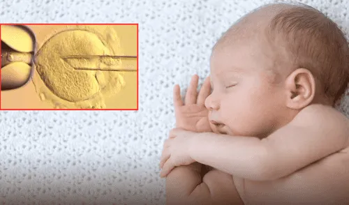 ¿Cómo funciona la nueva técnica de fertilidad? elpopular.pe