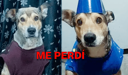 elpopular.pe
