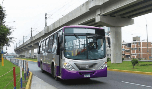 Restricción total: solo el Corredor Morado usará los carriles recién habilitados en Paseo Colón elpopular.pe