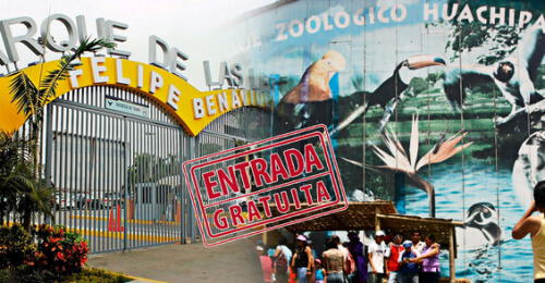 Este 14 de septiembre familias peruanas podrán entrar gratis al Parque de las leyendas elpopular.pe