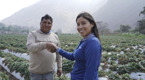 Cada vez más peruanos apuestan por negocios que reducen la huella ecológica y generan ingresos para sus familias y comunidades. elpopular.pe