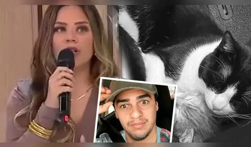 Andrea San Martín ROMPE SU SILENCIO tras acusaciones de maltrato animal y muestra INFORME MÉDICO de su mascota elpopular.pe