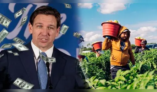 En este condado de Florida AUMENTARÁ el salario para los trabajadores. elpopular.pe