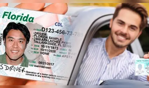 Obtén tu licencia de conducir en Florida. elpopular.pe