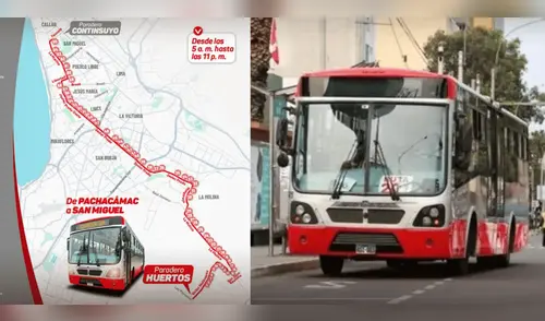 Corredor Rojo amplía ruta hasta Manchay: tarifa, nuevos paraderos y más sobre el trayecto del 204. elpopular.pe