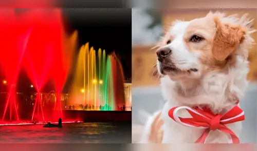 Circuito Mágico del Agua realizará un homenaje al Perro Pastor Chiribaya. elpopular.pe
