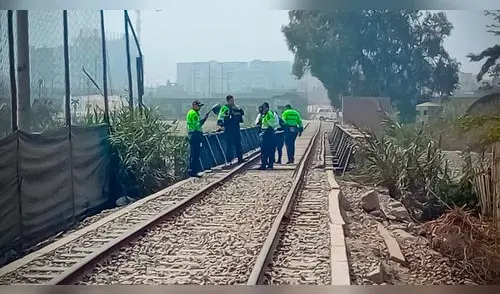 Terror en Carapongo: hallan dos hombres asesinados con brutal violencia cerca del río elpopular.pe