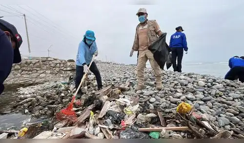 Congreso lidera jornada “Limpieza 2026” en Pisco para salvar los humedales y la playa de San Andrés elpopular.pe