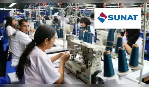 Sunat cambia las reglas: estas son las personas obligadas a pagar impuestos con la afiliación automática elpopular.pe