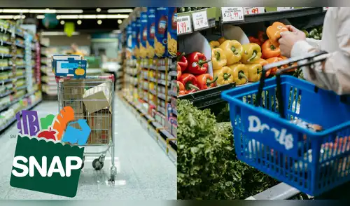 SNAP bajo nuevas normas qué exige ahora el programa para otorgar asistencia alimentaria. elpopular.pe