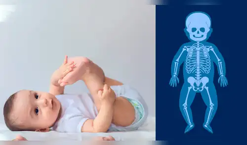 ¿Por qué los bebés al nacer tienen más huesos que los adultos? La sorprendente verdad detrás del desarrollo humano elpopular.pe