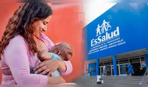 Conoce si estás en EsSalud y revisa si cobras el bono de /820. elpopular.pe