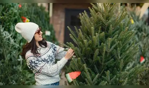 Árboles de Navidad MÁS BARATOS en EE.UU elpopular.pe