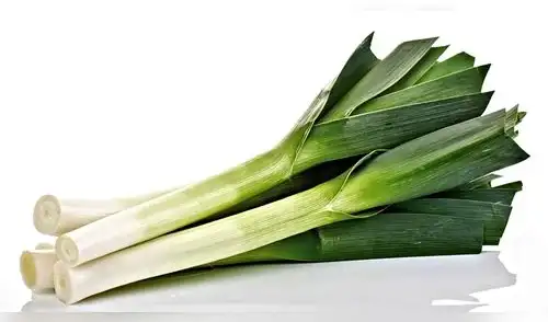 El poro es rico en antioxidantes, fibra y vitaminas. Te contamos cómo ayuda a tu bienestar. elpopular.pe