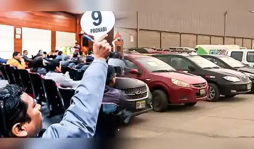 Pronabi alista dos subastas para este mes de diciembre elpopular.pe