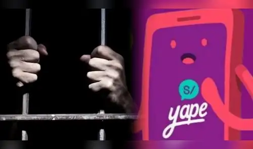 Yape es una de las billeteras digitales más usadas en el mercado peruano elpopular.pe