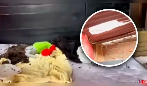 Bebé queda en inconsciente tras caerle maseta del 3er piso. elpopular.pe