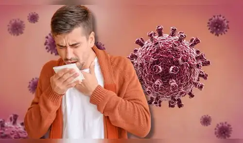 Fiebre, cansancio y tos: estos son los síntomas de la influenza A H3N2 elpopular.pe