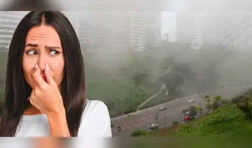 Limeños han reportado un fuerte olor a pescado desde muy tempranas horas elpopular.pe