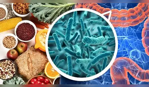 Mejora tu digestión y fortalece tus defensas con estos 5 alimentos que promueven el equilibrio de la microbiota. elpopular.pe