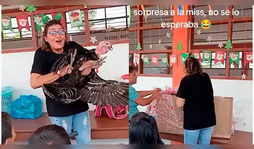 Padres peruanos sorprenden a maestra de inicial con inesperado regalo: “Pensó que era una TV” elpopular.pe