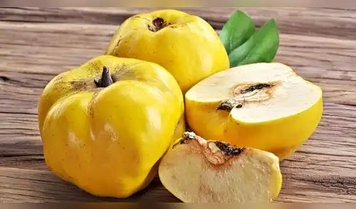 Conoce los beneficios del membrillo, una fruta que protege tu colon. elpopular.pe