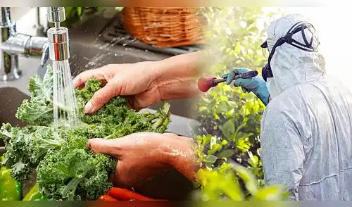 Descubre cómo eliminar pesticidas de frutas y verduras con ingredientes naturales. elpopular.pe