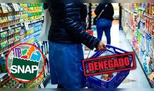 Estos son los alimentos que podrás comprar y los que no con los cupones SNAP. elpopular.pe