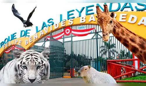 Falleció histórico animal en el Parque de las Leyendas. elpopular.pe