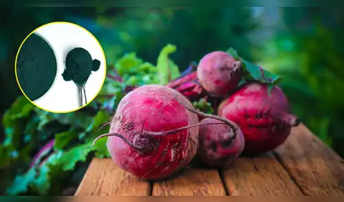 Colorantes naturales en auge FDA amplía el uso de la espirulina y aprueba la remolacha. elpopular.pe