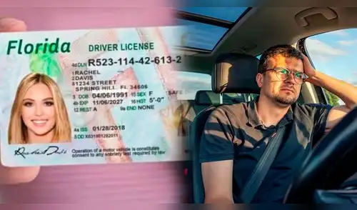 Las licencias de conducir de Florida podrá mostrar si la persona es ciudadana americana o no. elpopular.pe